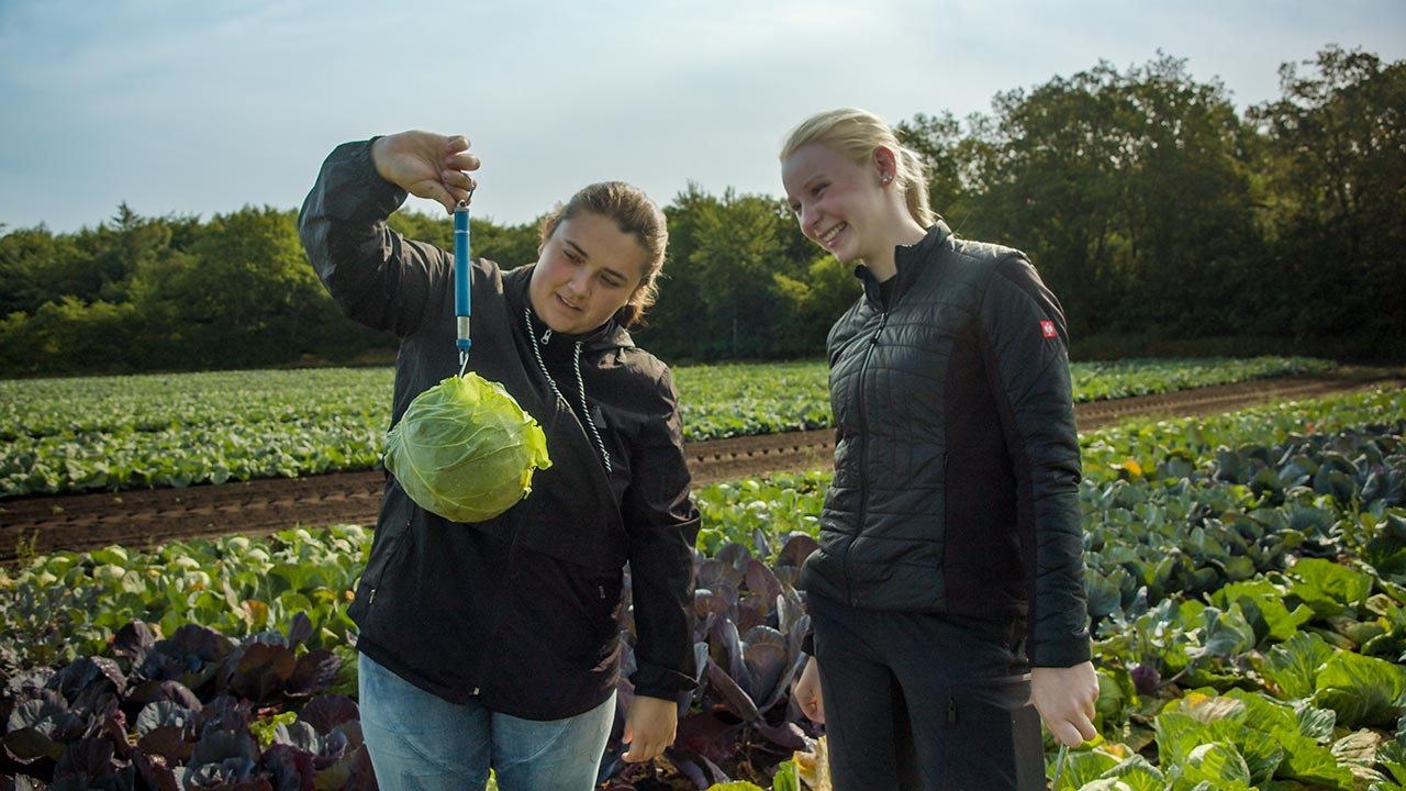 MitarbeiterInnen-Porträt Projekt