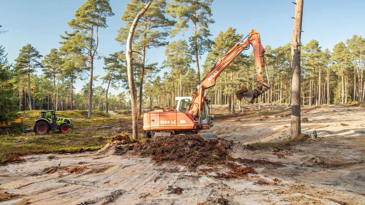 Atlantische Binnendüne – Bagger beim Abtragen des Oberbodens zwischen Kiefern