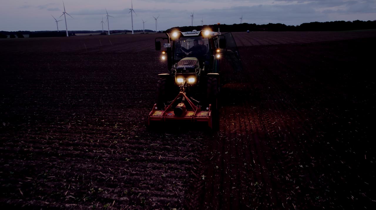 Henrik Porträt – Foto 3