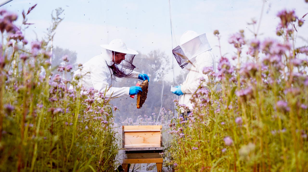 JKI – Projekt-Dokumentation