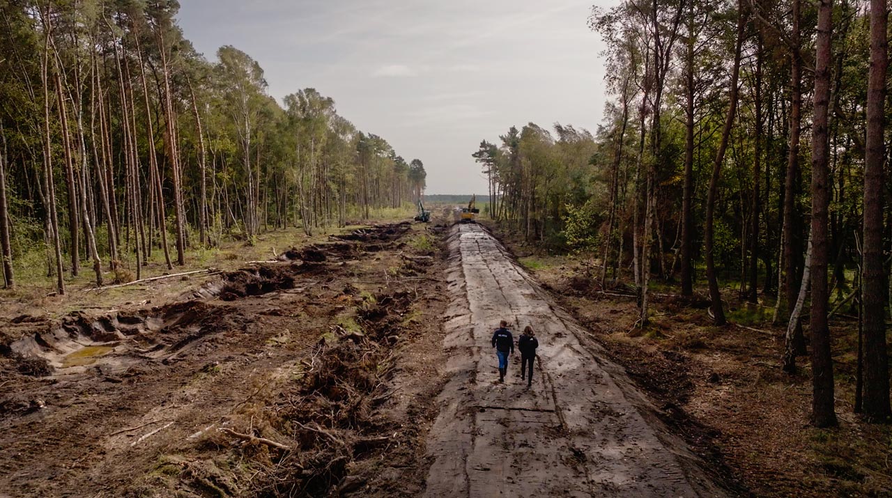 Moorgeest – Foto 1