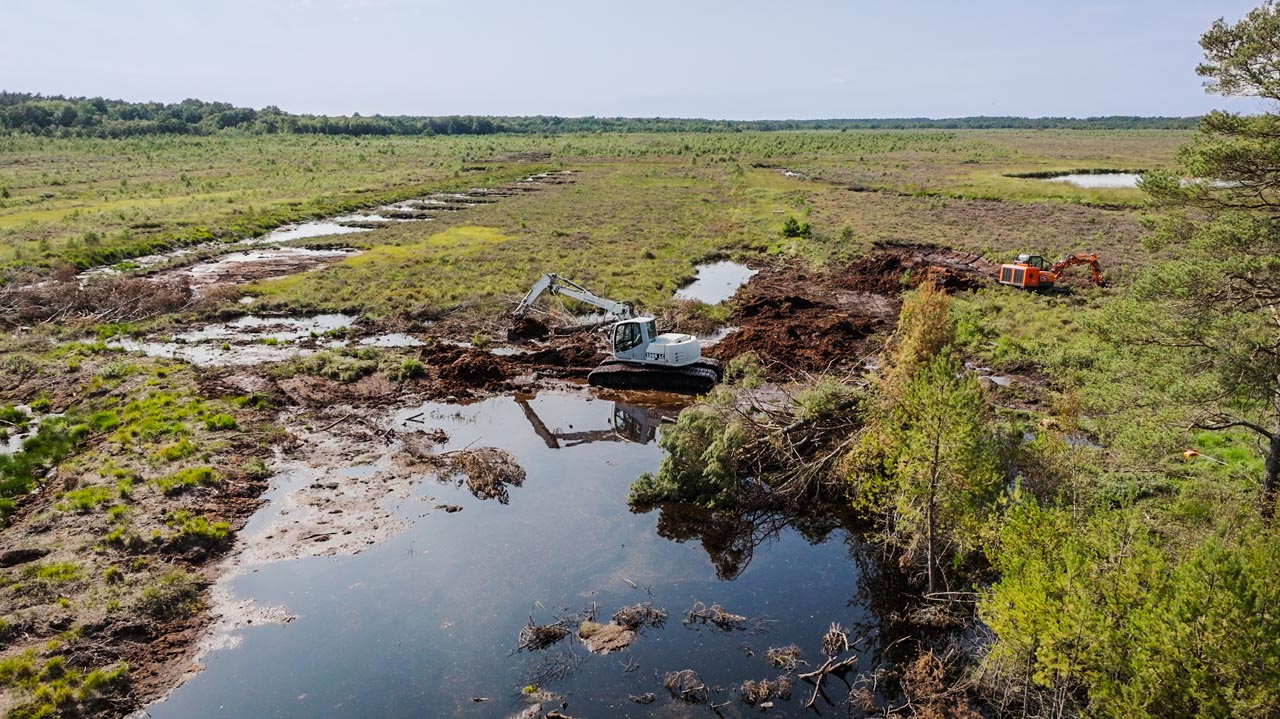 Moorgeest – Foto 3